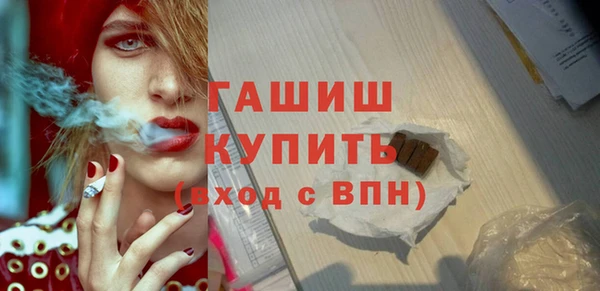 крисы Бородино