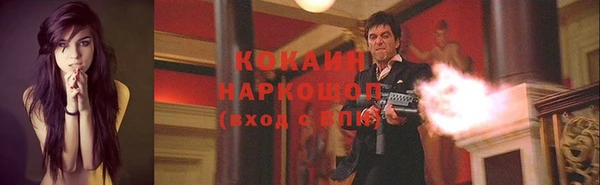 крисы Бородино