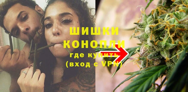 PSILOCYBIN Бугульма