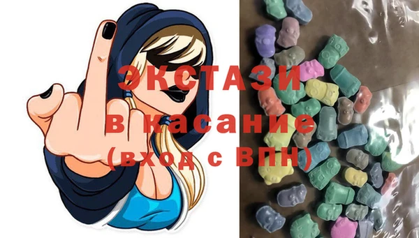 крисы Бородино