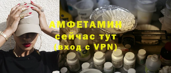 крисы Бородино