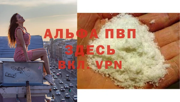 крисы Бородино