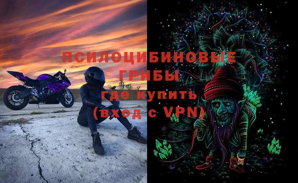 герыч Бронницы