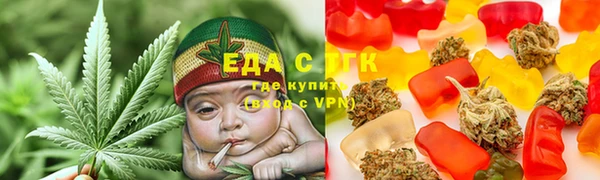 крисы Бородино